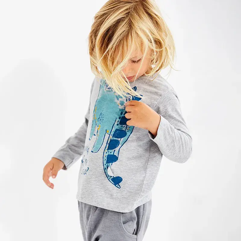 Kids Dinosaur Graphic Long Sleeve T-Shirt Grey - Image 2