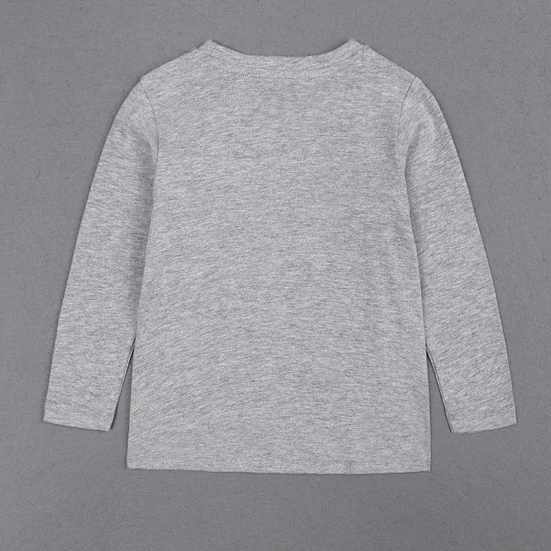 Kids Dinosaur Graphic Long Sleeve T-Shirt Grey - Image 5