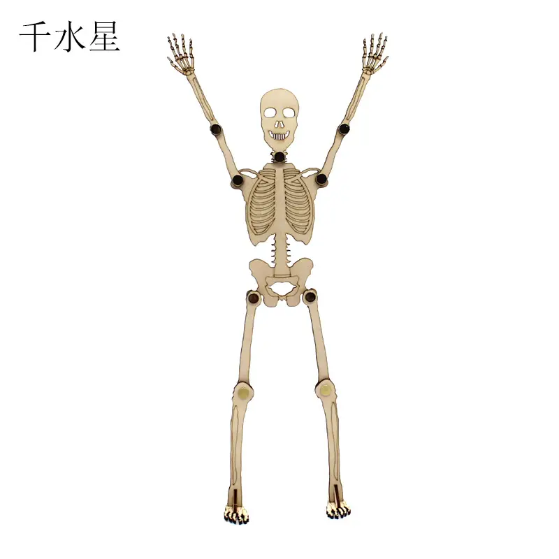 Human Skeleton Assembly Model with Joints and Movability - Image 2