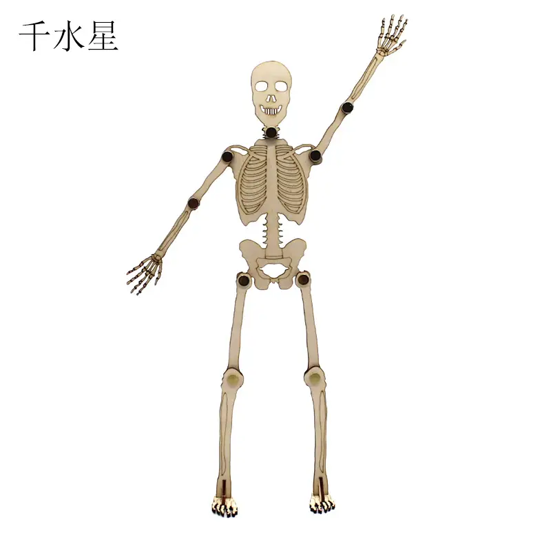Human Skeleton Assembly Model with Joints and Movability - Image 5