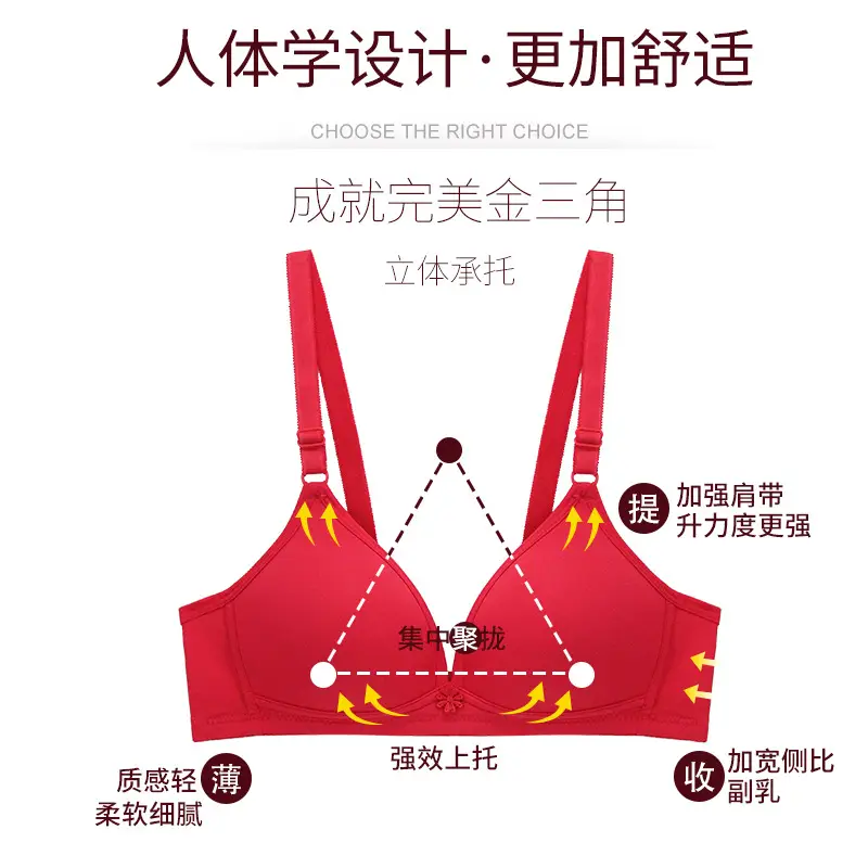 Xuejilan Comfortable Push-Up Bra for Women with Small Busts, Wireless Bra, Japanese Style Lingerie, Non-Standard Bra