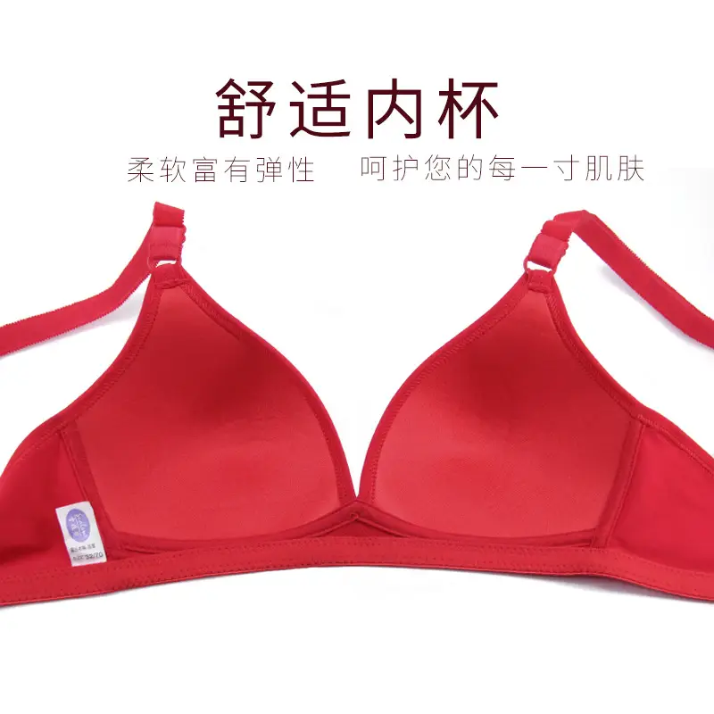Xuejilan Comfortable Push-Up Bra for Women with Small Busts, Wireless Bra, Japanese Style Lingerie, Non-Standard Bra