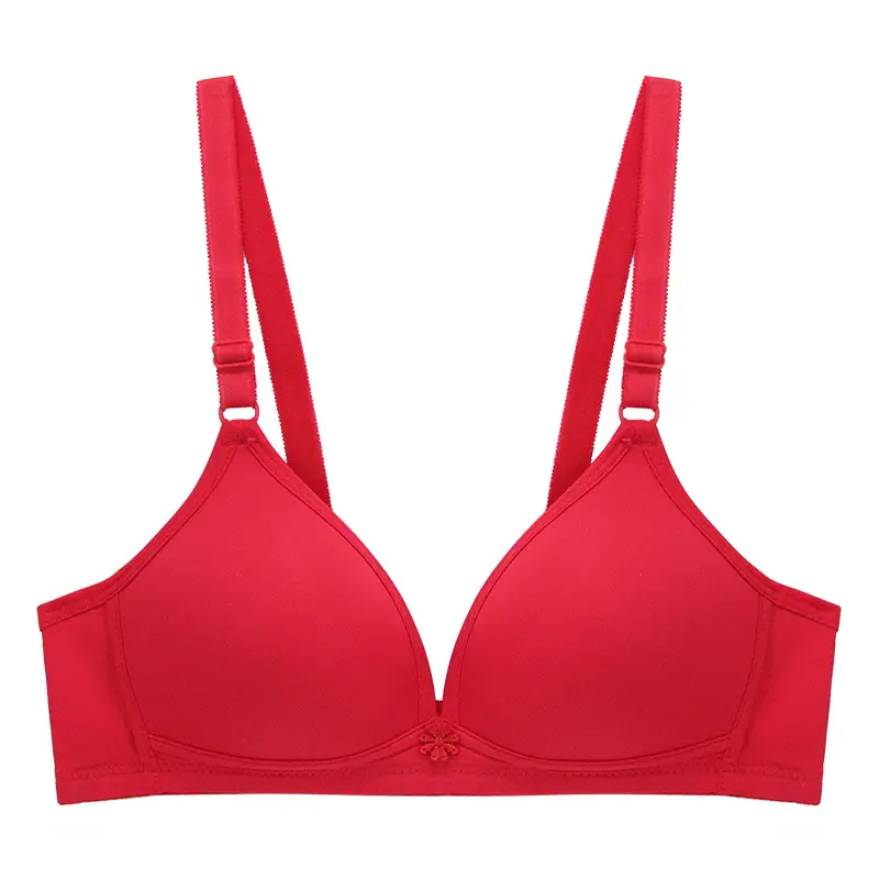 Xuejilan Comfortable Push-Up Bra for Women with Small Busts, Wireless Bra, Japanese Style Lingerie, Non-Standard Bra