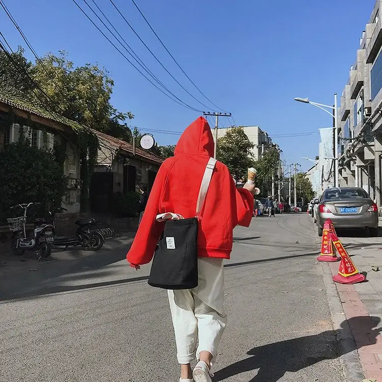 Japanese Style Crossbody Bag with Canvas Back — feature 104