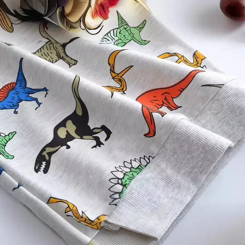 Children's Cartoon Dinosaur Sweatshirt Grey Cotton Long Sleeve - Image 3