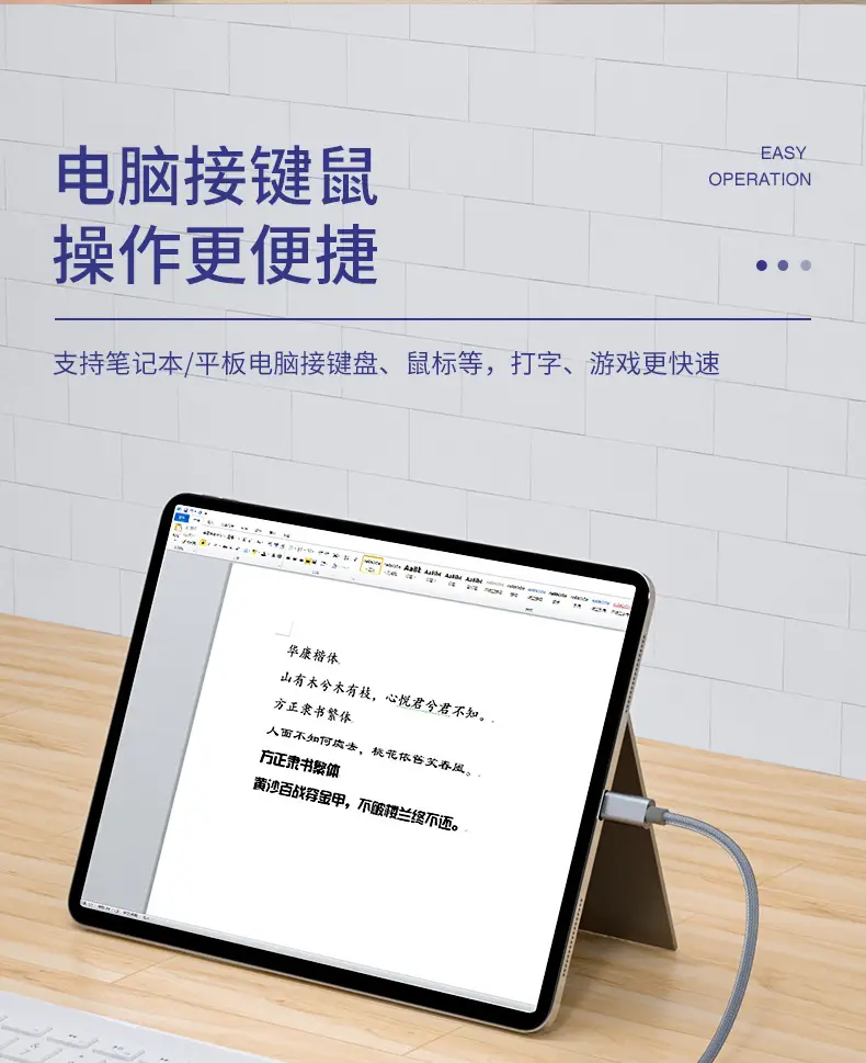 Factory Direct TYPE-C OTG Converter for Android & Mobile Phones — feature 8