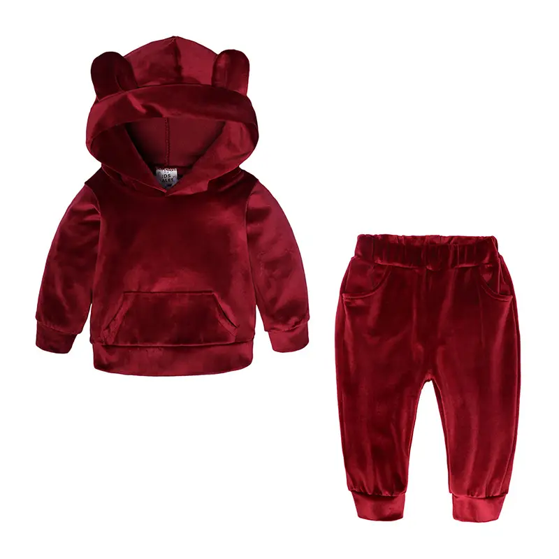 Blue Hooded Sweatshirt Set for Boys Autumn Wear