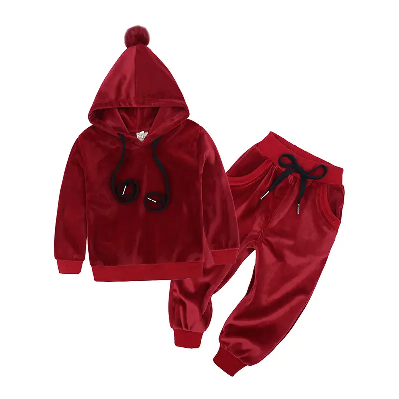 Blue Hooded Sweatshirt Set for Boys Autumn Wear