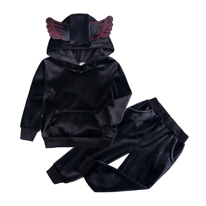 Blue Hooded Sweatshirt Set for Boys Autumn Wear