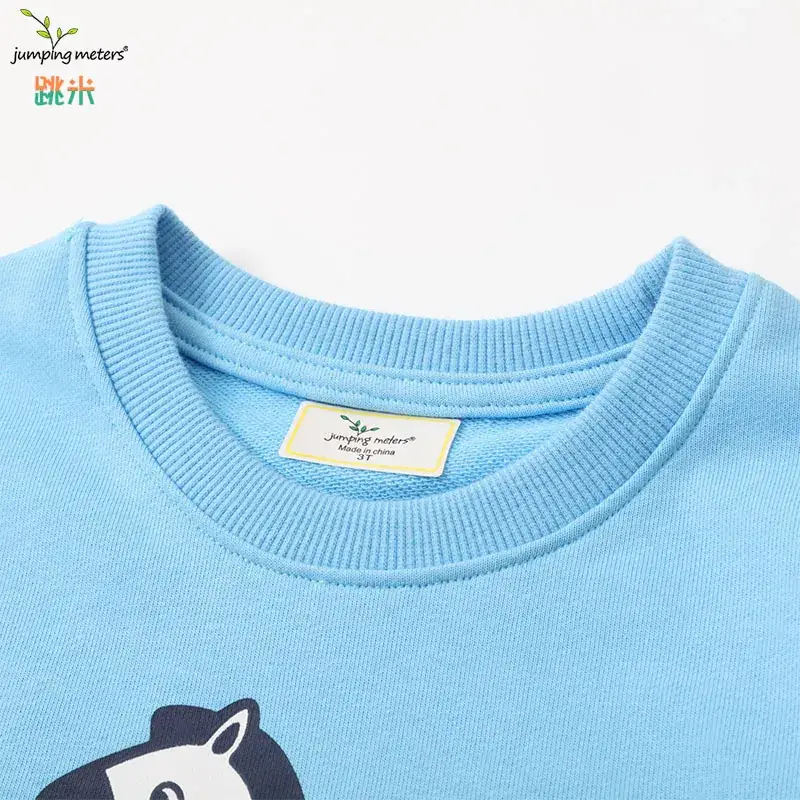 Blue Cartoon Print Boys Sweatshirt Long Sleeve Round Neck