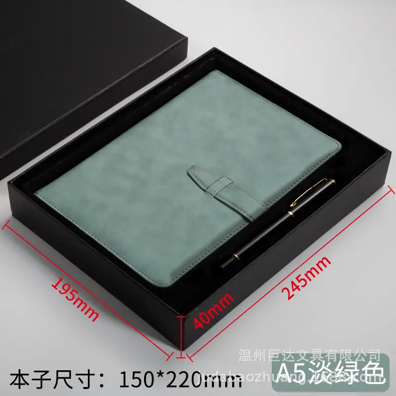 A5 Leather Diary with Buckle & Pen - Image 12