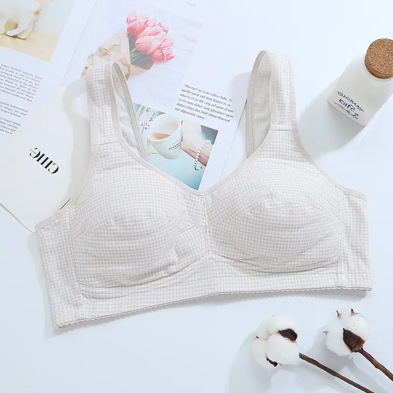 Zhangyan factory mesh vest-style back buckle large cup wide shoulder strap sports sleep middle-aged and elderly underwear bra underwear