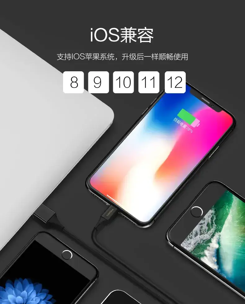 Pinsheng Lightning Cable Fast Charging for Apple Devices — feature 13