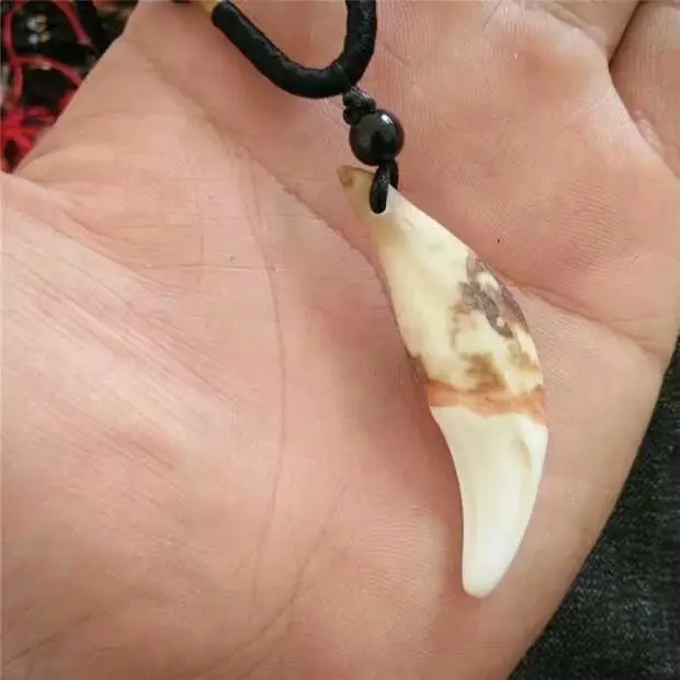Real Dog Tooth Necklace for Men Women Couple Wholesale - Image 3