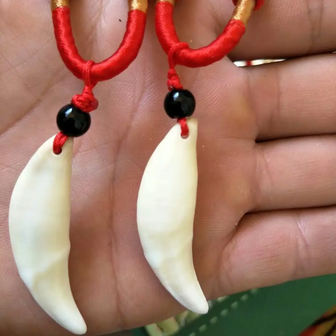 Real Dog Tooth Necklace for Men Women Couple Wholesale - Image 4