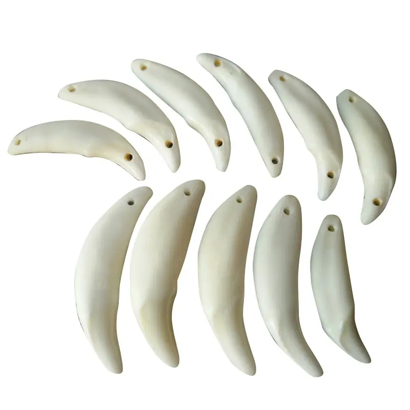 Real Dog Tooth Necklace for Men Women Couple Wholesale - Image 5
