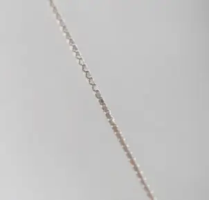S925 Silver Plated Water Wave Snake Bone Necklace - Image 3