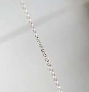 S925 Silver Plated Water Wave Snake Bone Necklace - Image 8