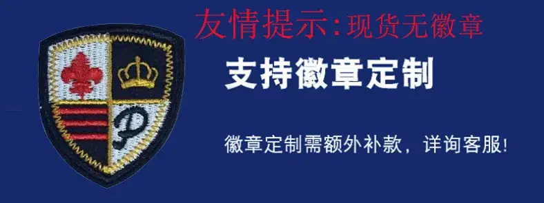无徽章.JPG