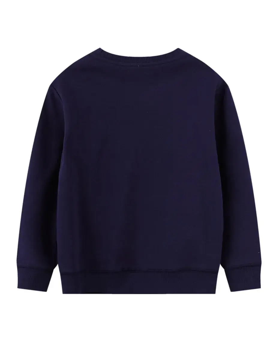 Baby Dinosaur Crewneck Sweater Boys Autumn Winter Long Sleeve Western Style - Image 3
