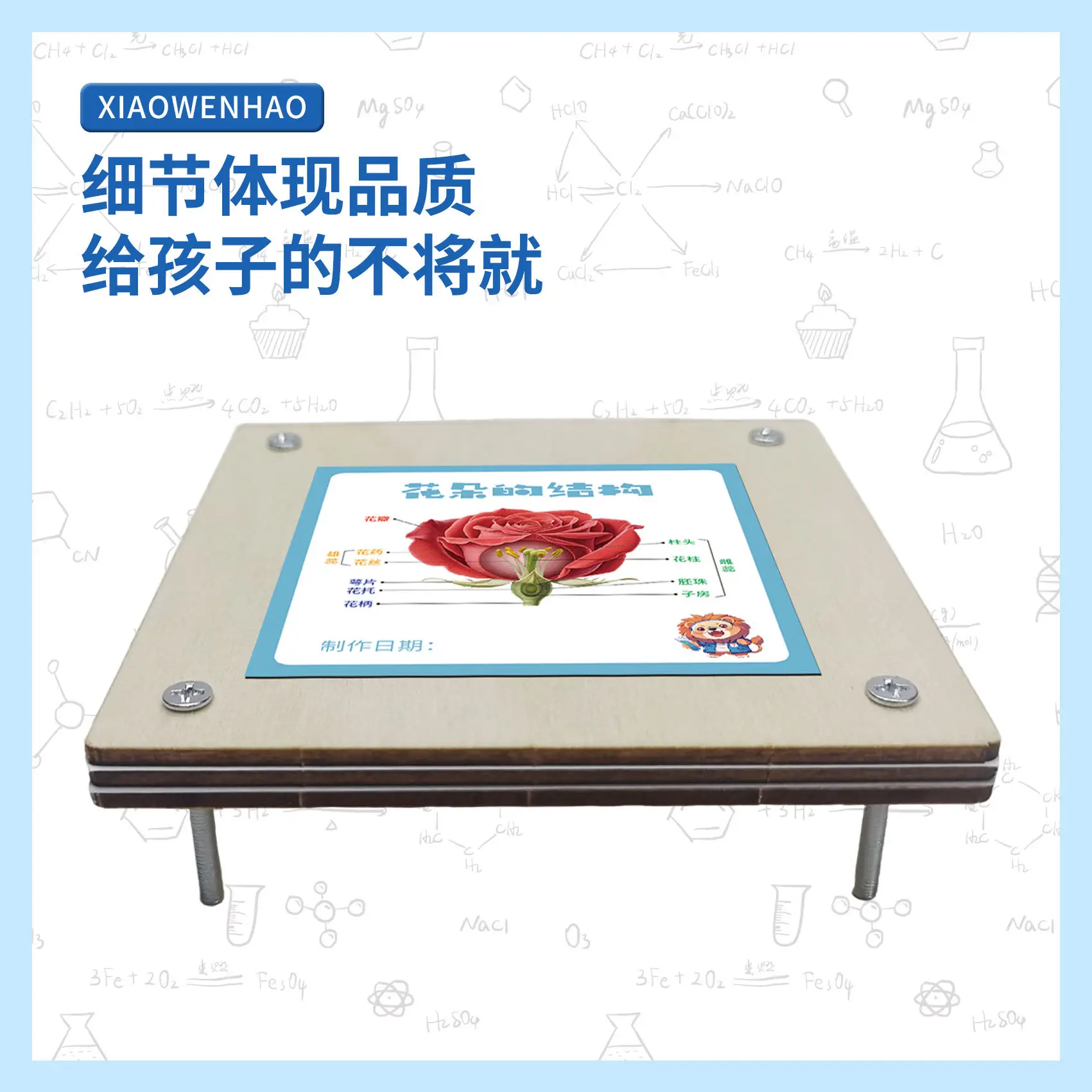 Kids Science Flower Stems Table Model STEM Learning Tool