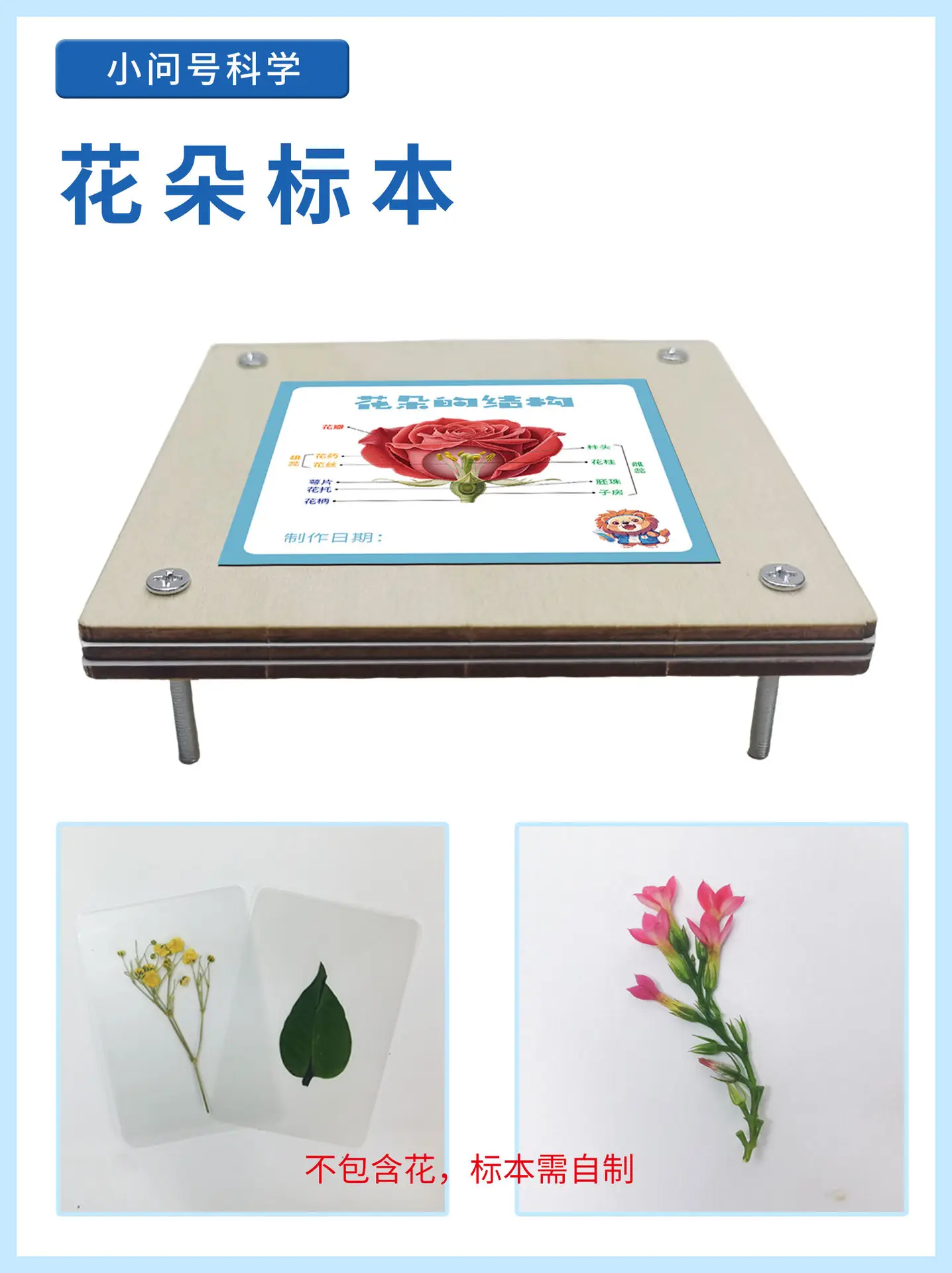 花朵标本详情页2025.7_01.jpg