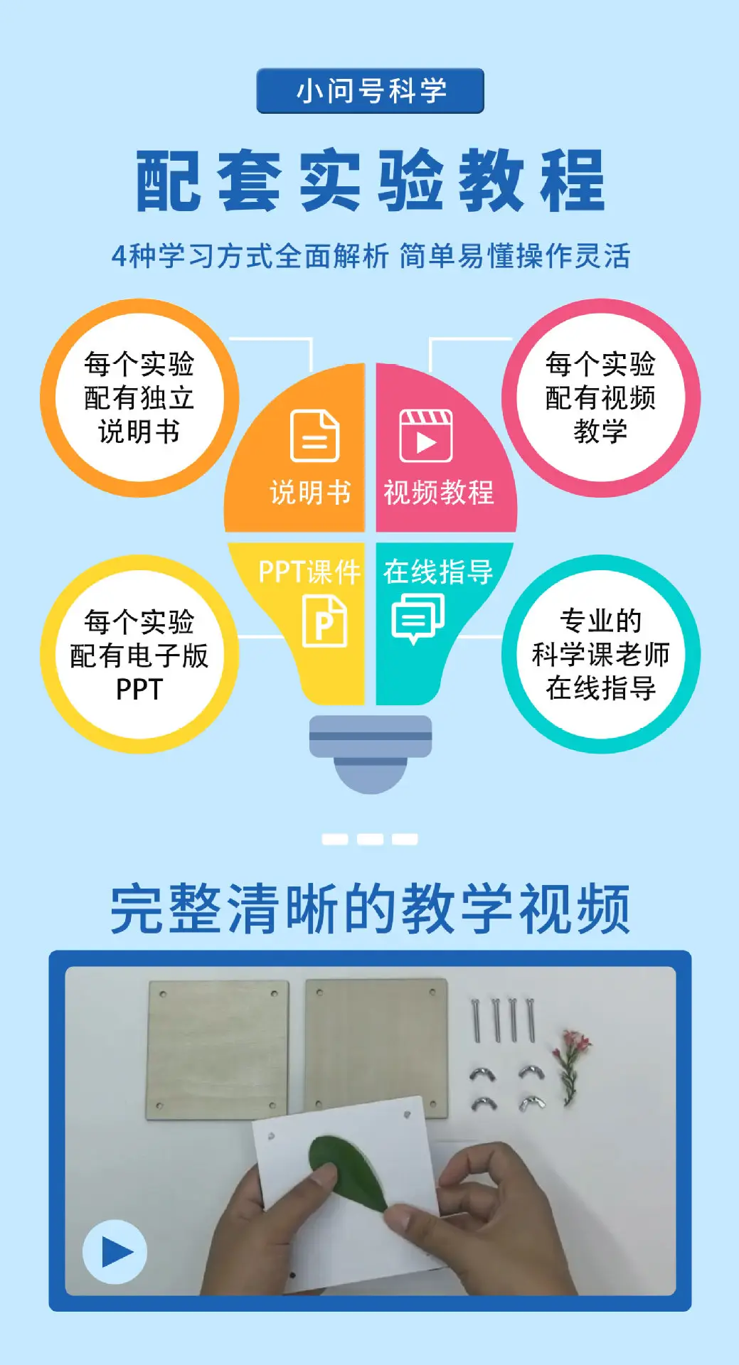 花朵标本详情页2025.7_02.jpg