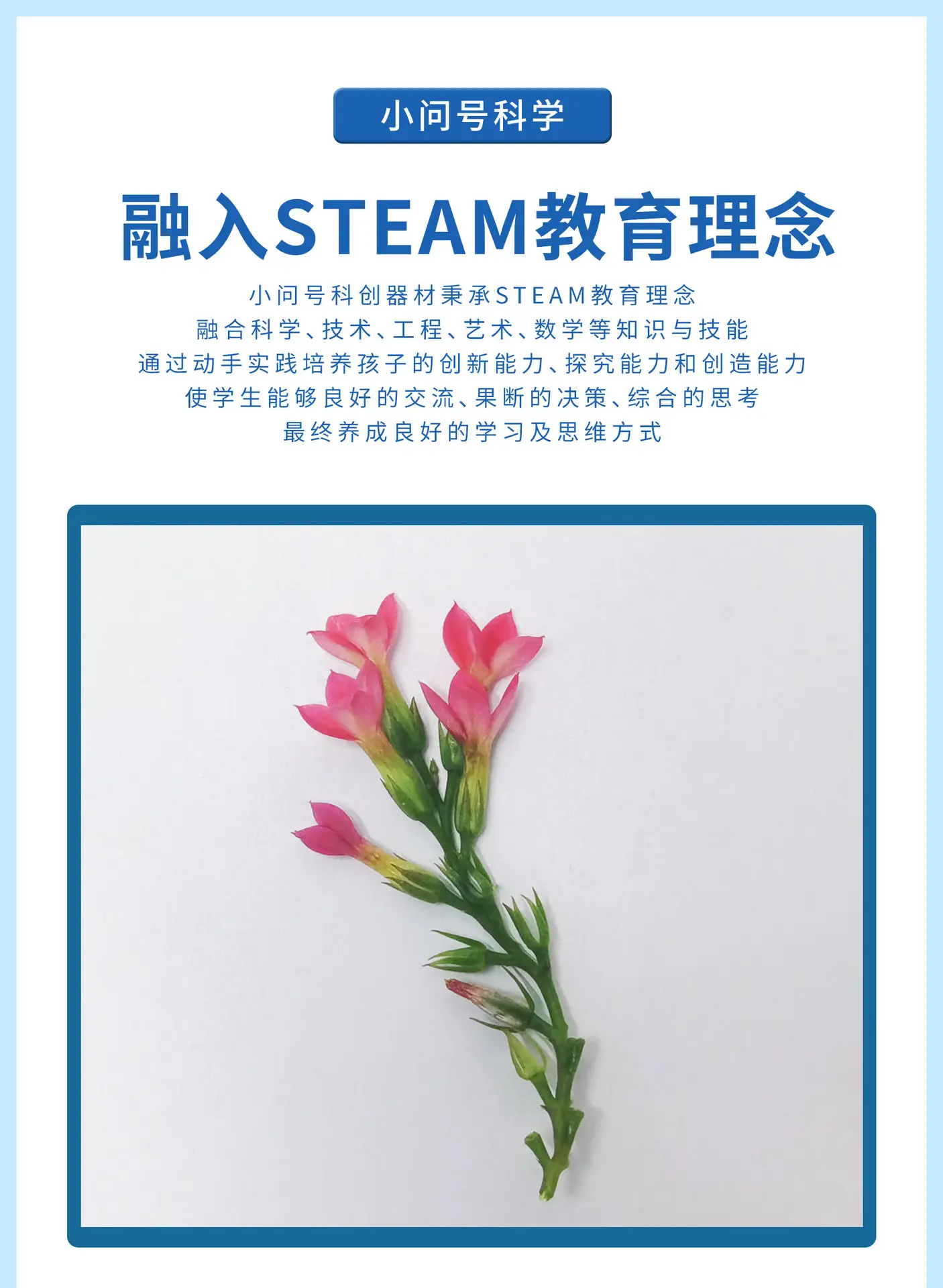 花朵标本详情页2025.7_04.jpg