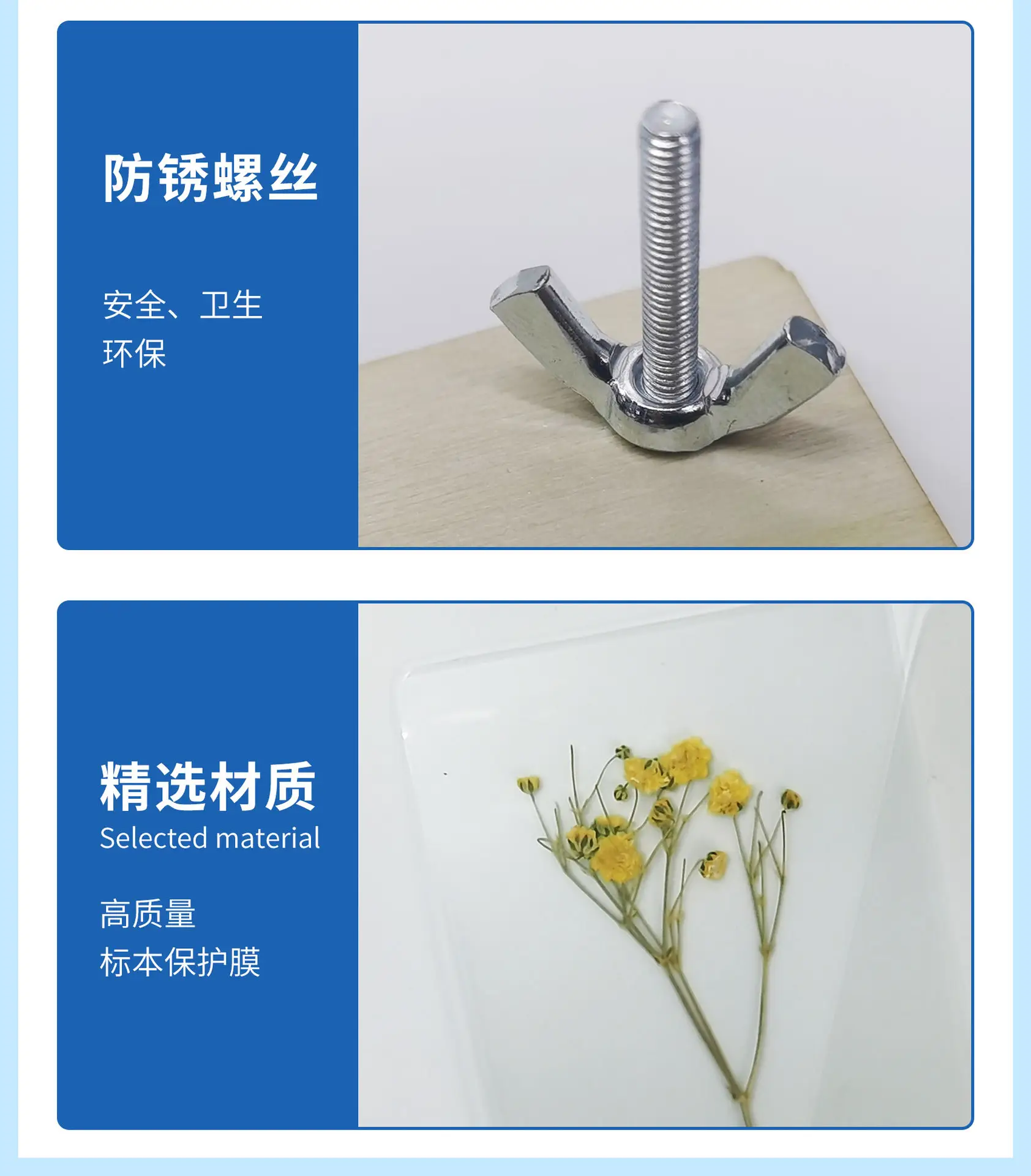 花朵标本详情页2025.7_08.jpg