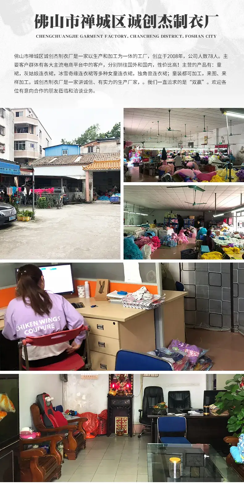 公司介绍