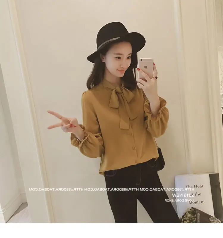 Korean Style Loose Bow Chiffon Shirt Brown — feature 30