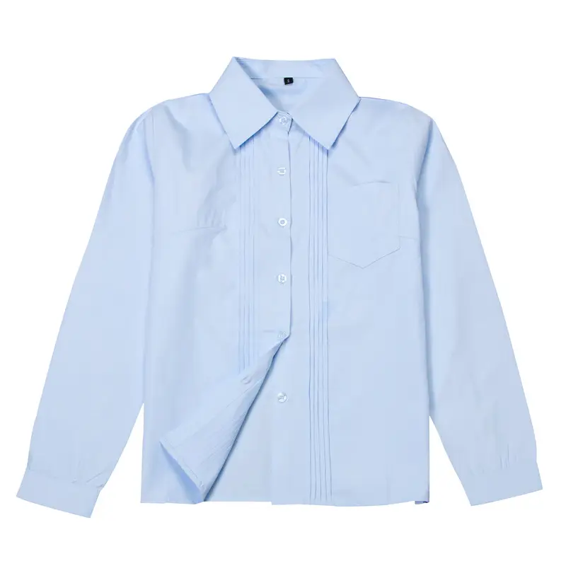 Zhuobei Clothing Pink Accordion Pleated Shirt