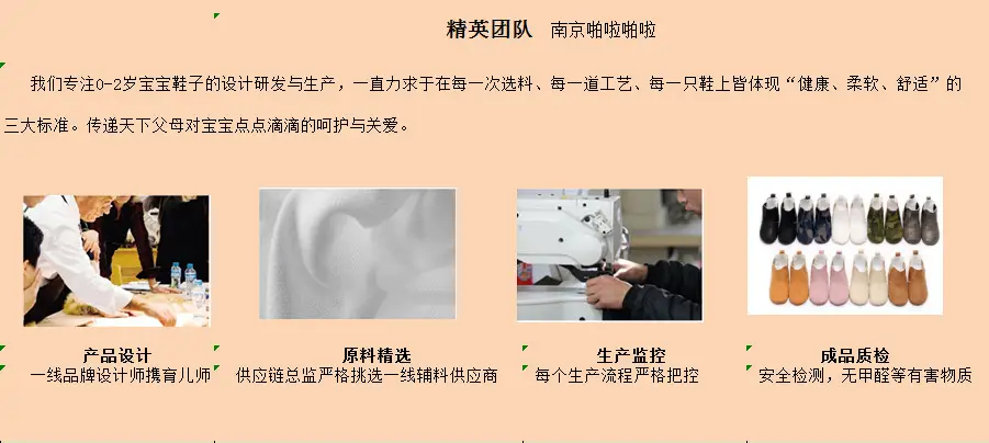 团队