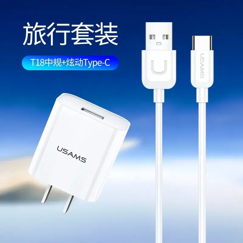 Yosemite T21 Travel Charger for US & EU Phones - Image 3