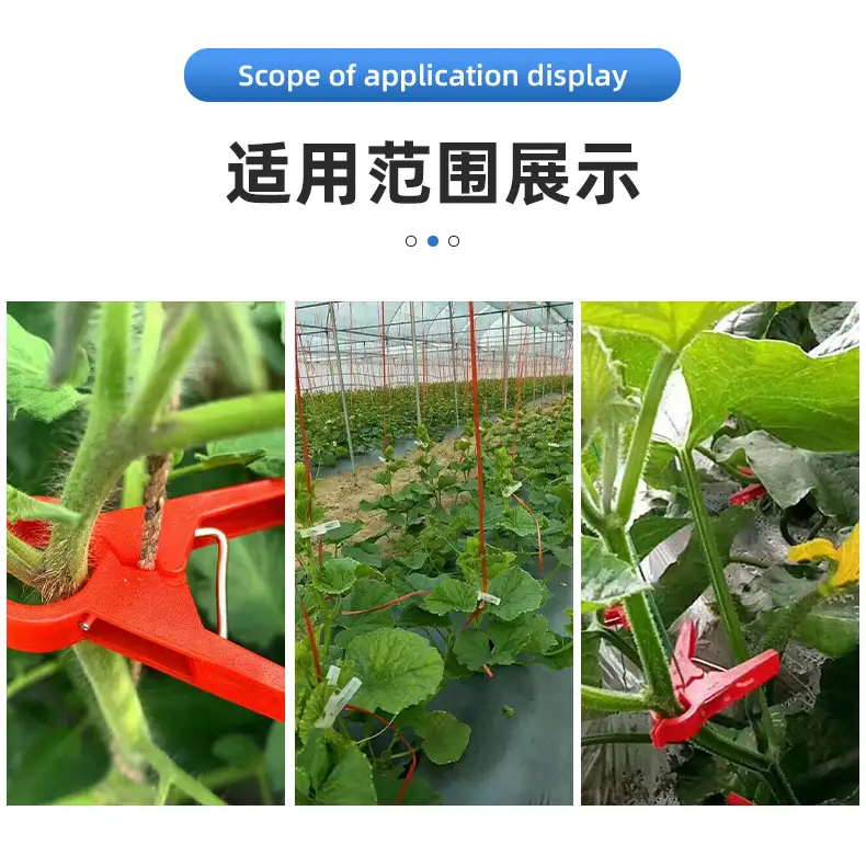 Hanging Seedling Clips, Cucumber Clips, Tomatoes, Tomatoes, Greenhouse Tying Vines, Hanging Seedling Clips, Hanging Vine Clips, Supporting Vine Clips, Garden Clips — feature 9