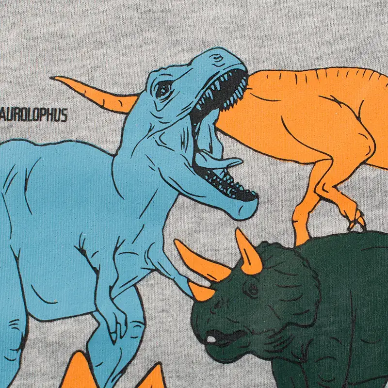 Dinosaur Print Long Sleeve T-Shirt for Boys Grey