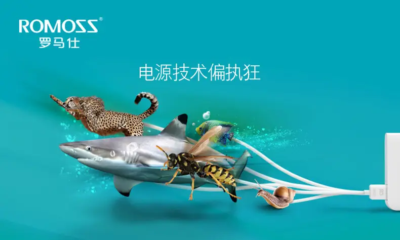 罗马仕共同引用1