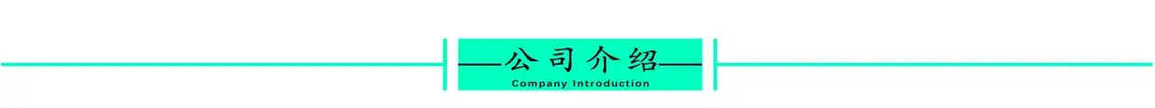 公司介绍