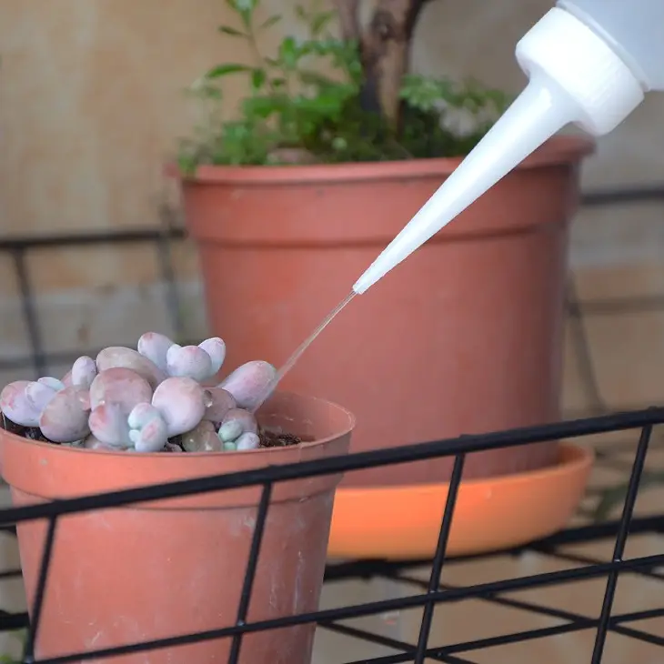 Long Spout Watering Can for Succulents, Household Watering Pot with Curved Spout for Squeezing and Filling Water, Tool for Watering Succulents