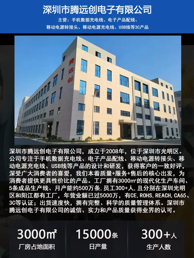 腾远创工厂实力图