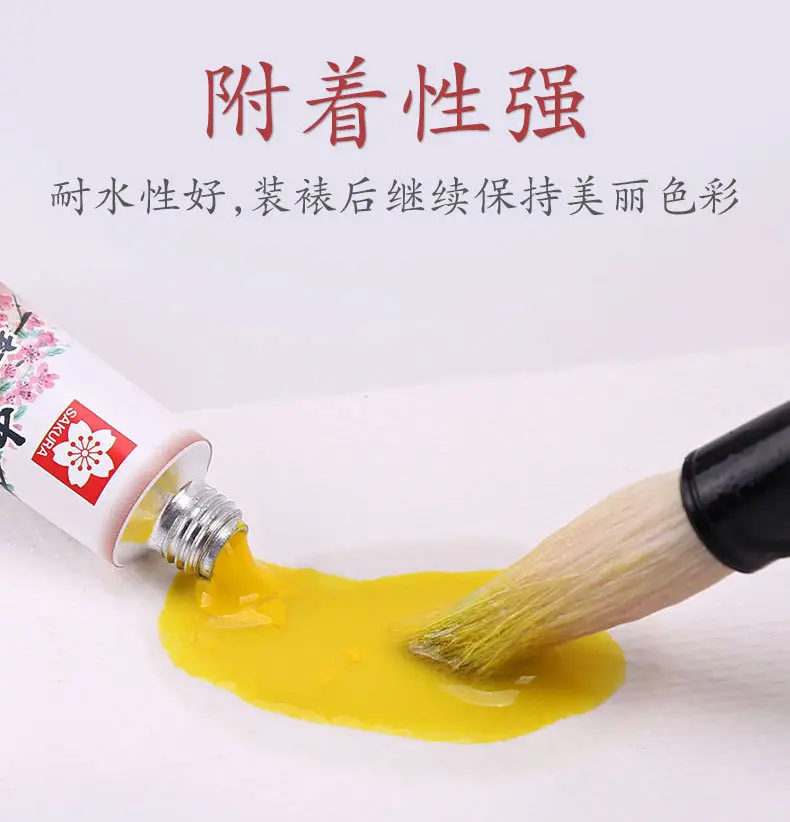 Pigment Sakura Chinese Painting 12-Color Plaster Doll Painting Art Student Special Painting Set Watercolor Coloring — feature 20