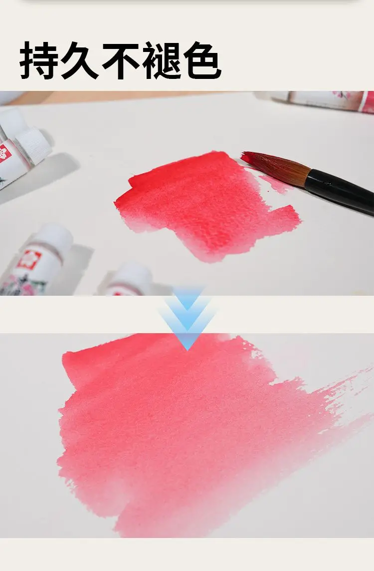 Pigment Sakura Chinese Painting 12-Color Plaster Doll Painting Art Student Special Painting Set Watercolor Coloring — feature 3