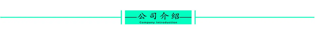 公司介绍