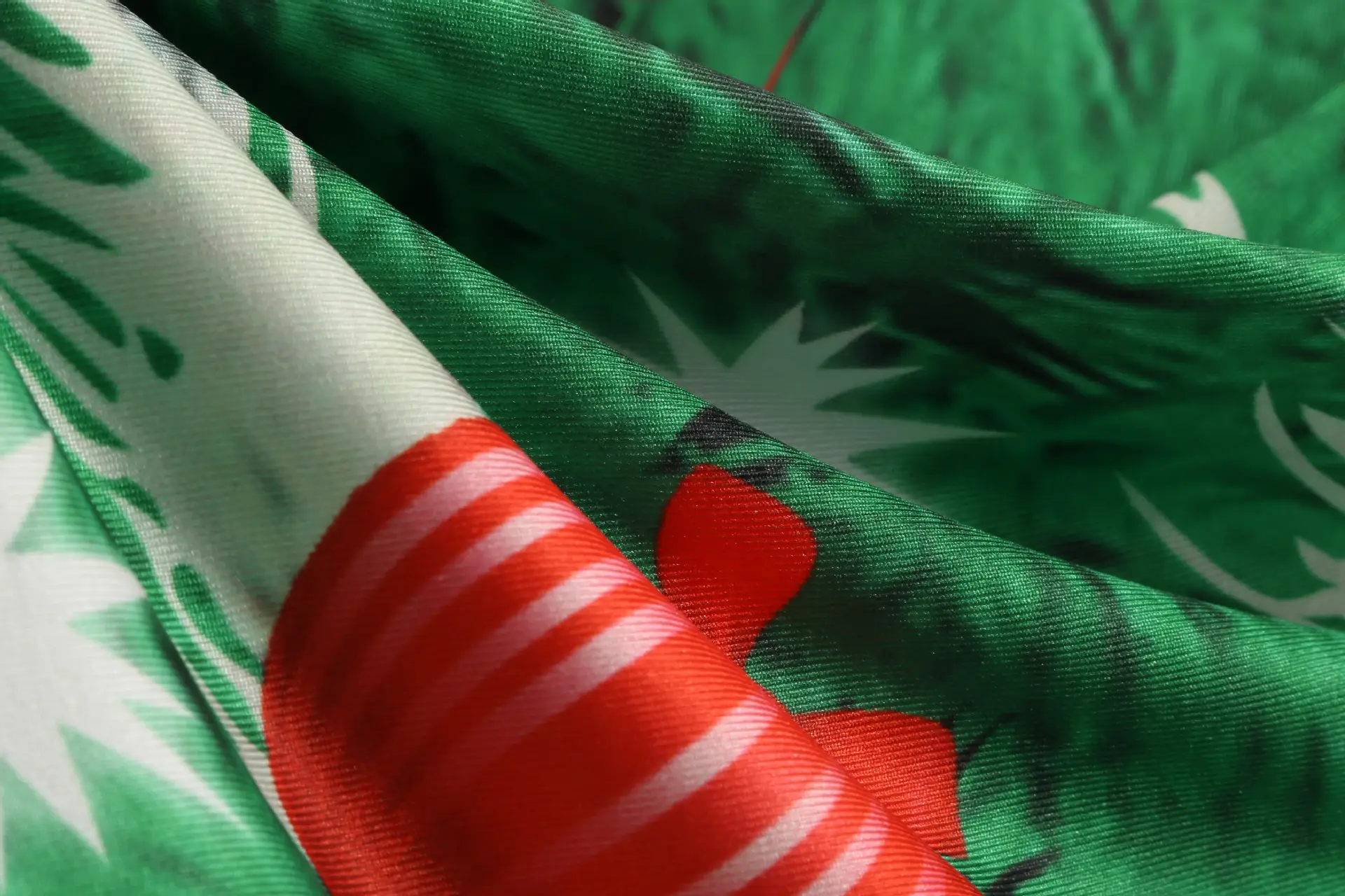 2019 Christmas Mid Sleeve Printed A-Line Dress Green Red — feature 9