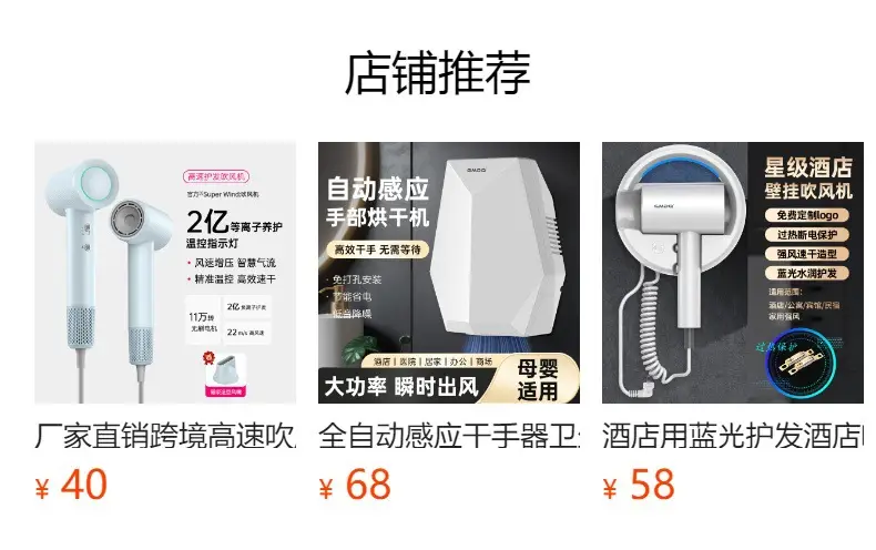 Cross-Border Hair Dryer with Hot Cold Punch for Home Hotel Use — feature 2