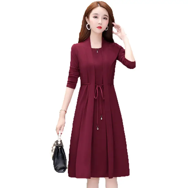 New Spring and Autumn Fake Two-piece Long-sleeve Dress for Women - Image 8
