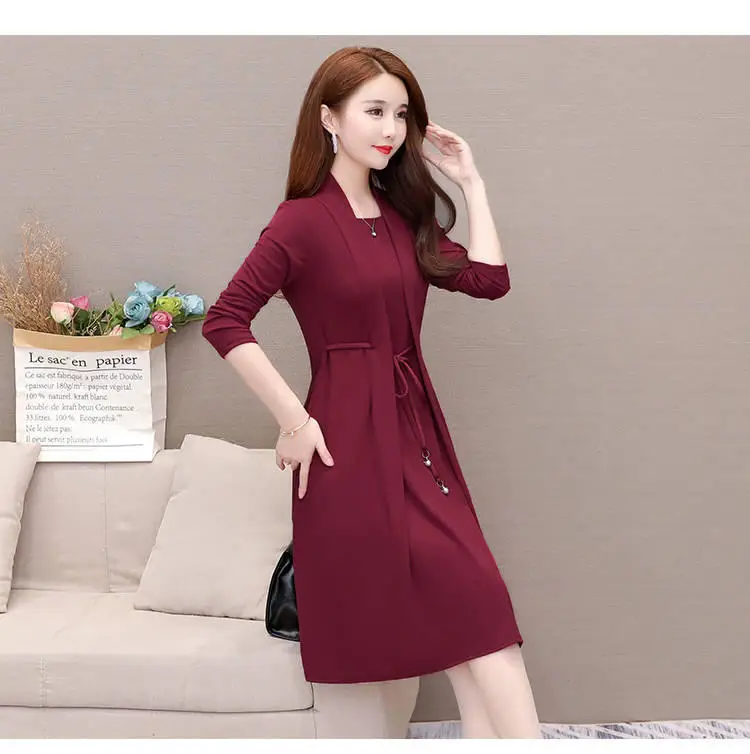New Spring and Autumn Fake Two-piece Long-sleeve Dress for Women — feature 1
