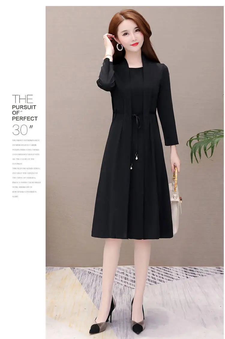 New Spring and Autumn Fake Two-piece Long-sleeve Dress for Women — feature 7