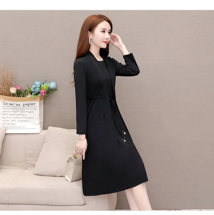 New Spring and Autumn Fake Two-piece Long-sleeve Dress for Women — feature 8