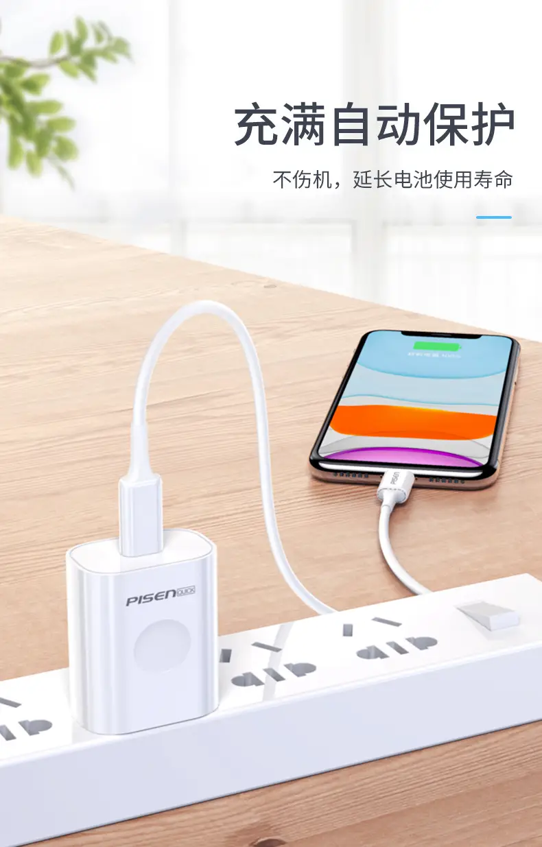 Pinsheng 3A Lightning Cable for iPhone 14 Pro Max 20W Fast Charge — feature 2